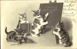 Kittens at School Postcard