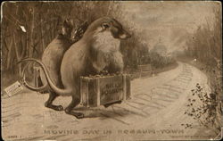 Moving Day In Possum-Town Postcard