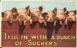 I Feel In With A Bunch Of Suckers Pigs Postcard Postcard