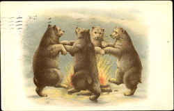 Polar Bears Dancing Postcard