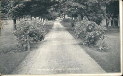 The Bridge Of Roses At Fordhook Advertising Postcard Postcard