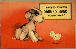 I Have To Scratch Darned Hard For A Living! Postcard