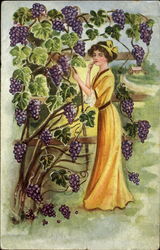 Grapes Postcard