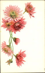 Flowers Postcard