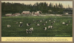 Carnation Stock Farm Postcard