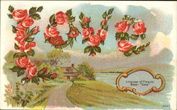 Language Of Flowers Rose : Love Postcard