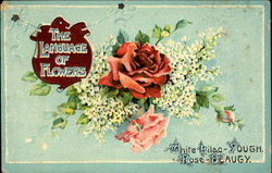 The Language Of Flowers Postcard