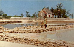 Salt Pans Turn Pink As The Sun Days Then On Salt Cay Postcard