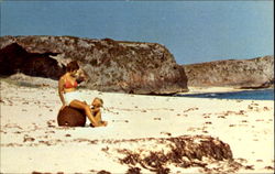 Grand Caicos North Beach Postcard