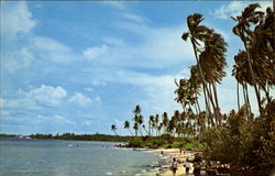 Sea-Side Of Pasir Ris Singapore Southeast Asia Postcard Postcard