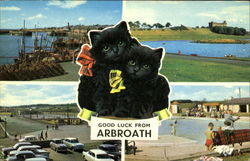 Good Luck From Arbroath Postcard