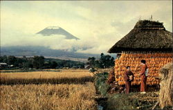 Mt. Fuji From Oshino Village Japan Postcard Postcard