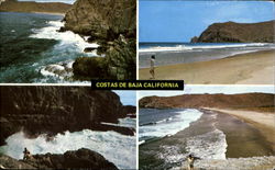 Costas De Baja California Postcard