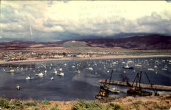 View Of Ensenada Todos Santos Bay Postcard