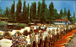 The Xochimilco Wharf Mexico Postcard Postcard