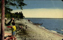 Scene At Point Des Chenes, Sault Ste. Sault Ste. Marie, ON Canada Ontario Postcard Postcard