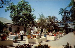 Myrtle Bank Patio Kingston, Jamaica Postcard Postcard