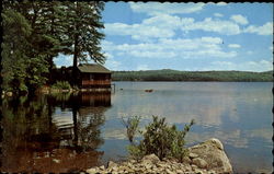 Crystal Clear Water Eau Claire, Canada Misc. Canada Postcard Postcard