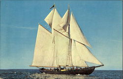 Bluenose Ii Canada Misc. Canada Postcard Postcard