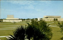 University Of South Florida Tampa, FL Postcard Postcard