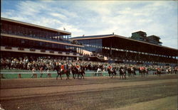 Suffolk Downs Boston, MA Postcard Postcard