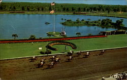 Action At Gulfstream Park Horse Racing Postcard Postcard