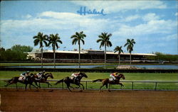 A Thrilling Race At Hialeah Racecourse Miami, FL Postcard Postcard