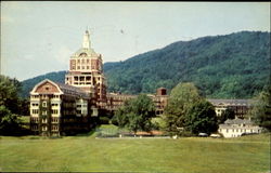 The Homestead Hot Springs, VA Postcard Postcard