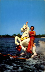 World's Only Water-Skiing Horse Postcard