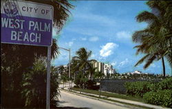 Scenic Drive In West Palm Beach Florida Postcard Postcard