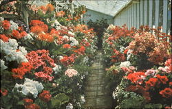 The Butchart Gardens Postcard