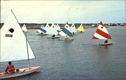 Sunfish Regatta In Banks Channel Postcard