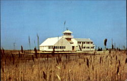 South Jersey Wetlands Institute Postcard