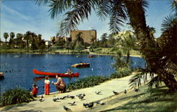 Macarthur Park Los Angeles, CA Postcard Postcard