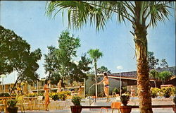 The Panorama Inn, Route S-464 Silver Springs Shores, FL Postcard Postcard