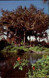 Swiss Family Island Treehouse Disney Postcard Postcard