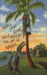 Honey Come Down We'se Waiting For You In Florida Postcard