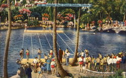 Venetian Pool Coral Gables, FL Postcard Postcard