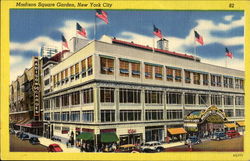 Madison Square Garden Postcard