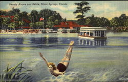 Beauty Above And Below Silver Springs, FL Postcard Postcard