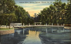 Radium River, Radium Springs Albany, GA Postcard Postcard