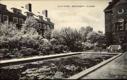 Lily Pond, Brooklyn College Postcard