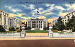 Harvard Medical School Postcard