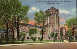 The Payne Whitney Gymnasium, Yale University New Haven, CT Postcard Postcard