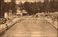 The Sugar Maples Swimming Pool Postcard