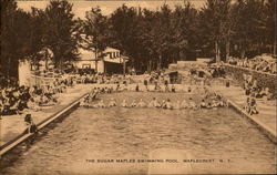 The Sugar Maples Swimming Pool Postcard