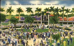 The Paddock, Gulfstream Race Track Hallandale, FL Postcard Postcard