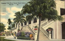 Tropical Park Race Track Postcard