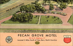 Pecan Grove Motel, U. S. Highway 17 Postcard