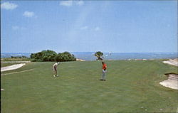 Port Royal Plantation Golf Club Hilton Head Island, SC Postcard Postcard